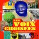 photo du film Les Voix croisées