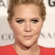 Voir les photos de Amy Schumer sur bdfci.info