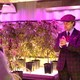 photo du film The Gentlemen