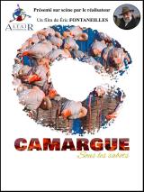 Camargue, sous les sabots