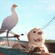 photo du film Flow, le chat qui n’avait plus peur de l’eau