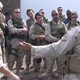 photo de la série Generation Kill