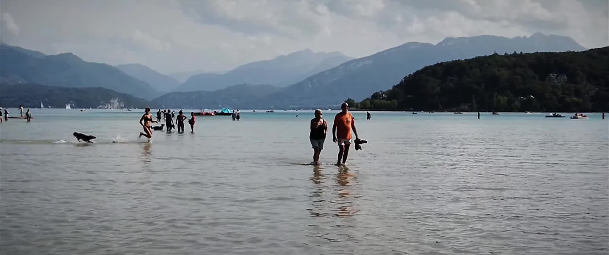 Extrait vidéo du film  Un jeudi pour Darwin