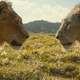 photo du film Mufasa : Le roi lion