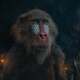photo du film Mufasa : Le roi lion