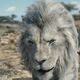 photo du film Mufasa : Le roi lion