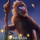 photo du film Mufasa : Le roi lion
