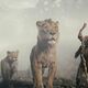 photo du film Mufasa : Le roi lion