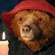 photo du film Paddington au Pérou