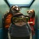 photo du film La Vie, en gros