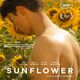photo du film Sunflower