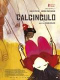 voir la fiche complète du film : Calcinculo