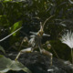 photo du film Planètes