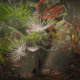 photo du film Planètes