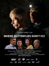 Where Butterflies Don t Fly