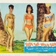 photo du film Les Dompteurs du Pacifique