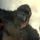 photo du film Godzilla vs Kong