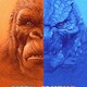photo du film Godzilla vs Kong