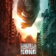 photo du film Godzilla vs Kong