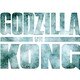 photo du film Godzilla vs Kong