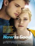 voir la fiche complète du film : Now Is Good