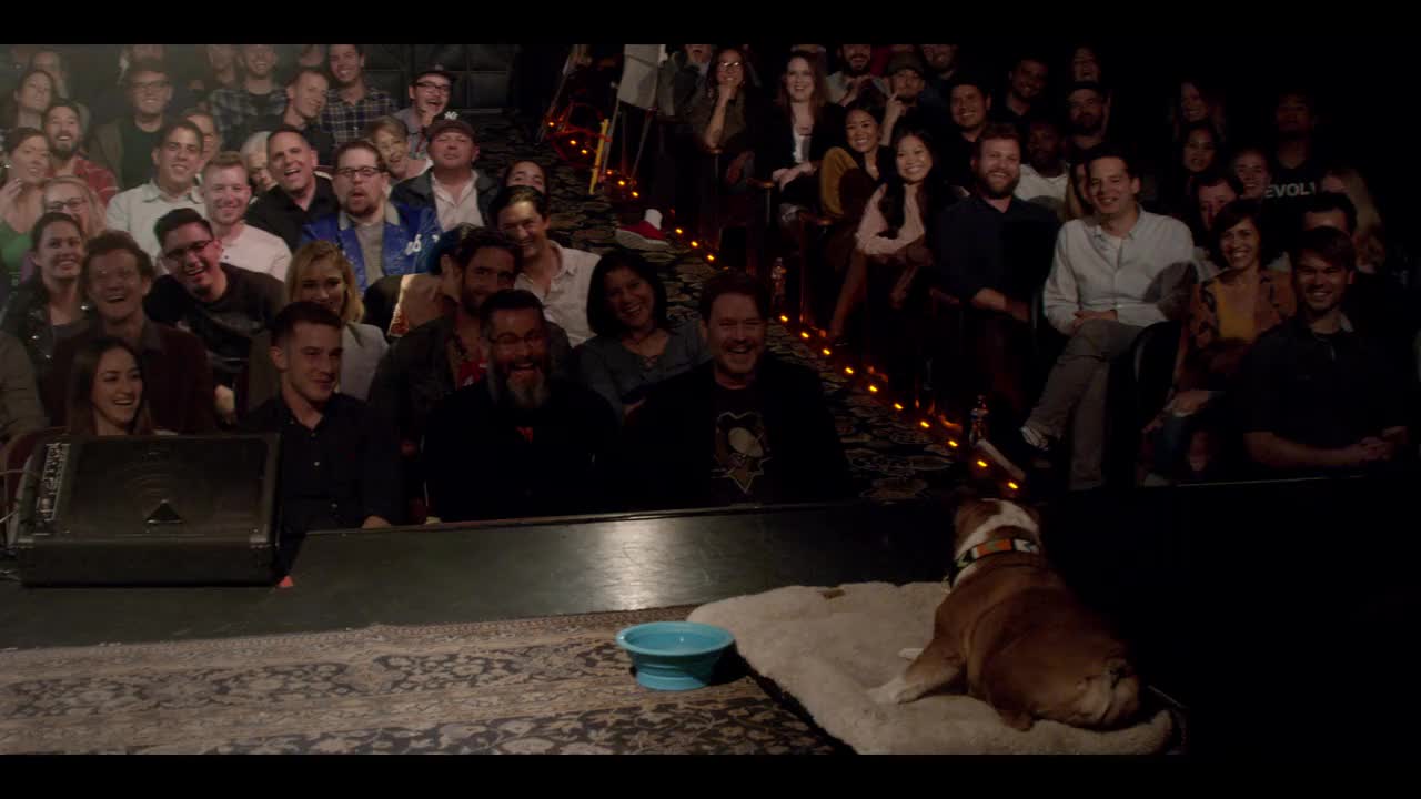 Un extrait du film  Adam sandler 100% fresh