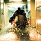 photo du film The Dark Knight - Le chevalier noir