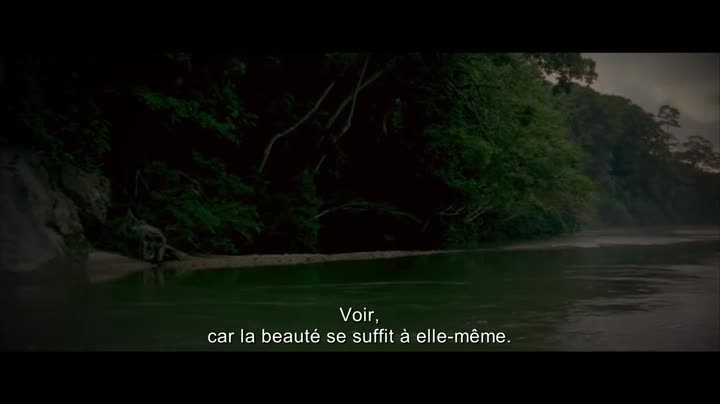 Extrait vidéo du film  The Lost City of Z