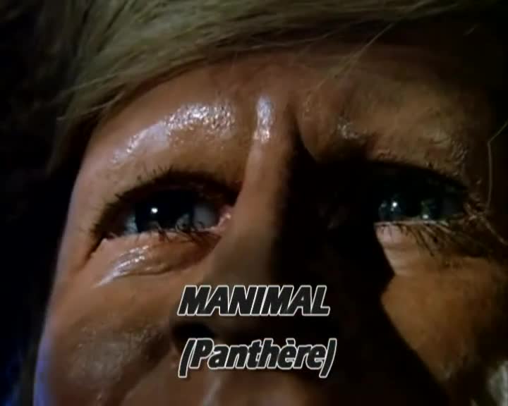 Un extrait de la série  Manimal