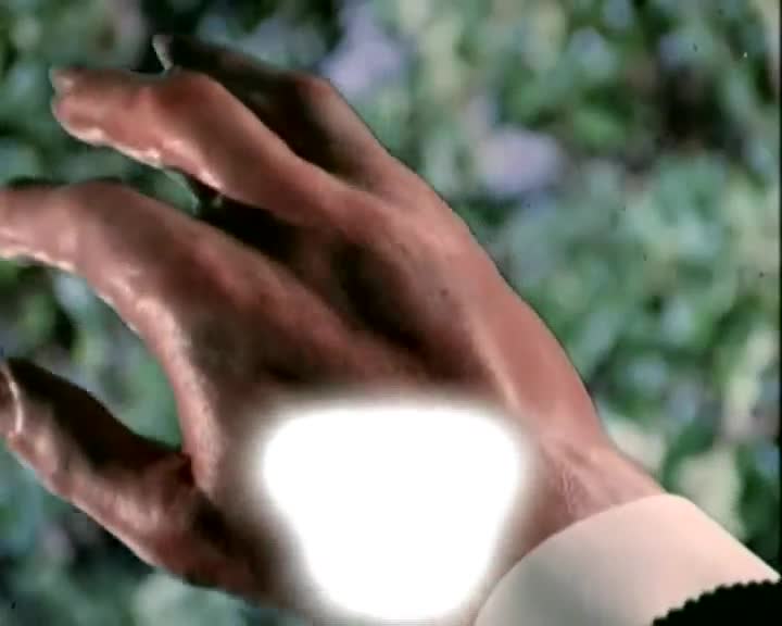 Un extrait de la série  Manimal