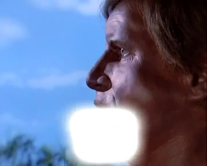 Un extrait de la série  Manimal