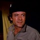 photo de la série Manimal (Pilote)