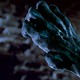 photo de la série Manimal (Pilote)