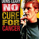 photo du film Denis leary : no cure for cancer
