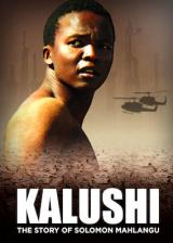 Kalushi : the story of solomon mahlangu