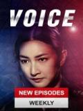 Voice