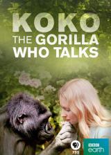 voir la fiche complète du film : Koko : The Gorilla Who Talks