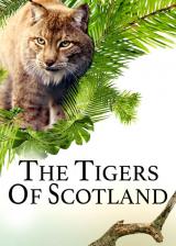 The Tigers of Scotland