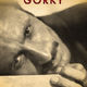 photo du film Without Gorky