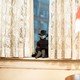 photo du film Puppet Master : The Littlest Reich
