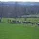 photo du film Cyrille, agriculteur, 30 ans, 20 vaches, du lait, du beurre, des dettes