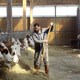photo du film Cyrille, agriculteur, 30 ans, 20 vaches, du lait, du beurre, des dettes