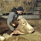 photo du film Cyrille, agriculteur, 30 ans, 20 vaches, du lait, du beurre, des dettes