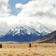 photo du film Mulan