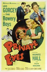 voir la fiche complète du film : Private Eyes