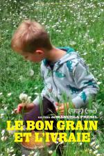 Le Bon Grain Et L ivraie