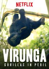 Virunga : Gorillas in Peril