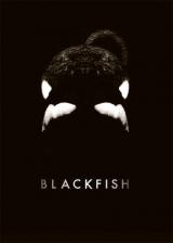 Blackfish