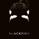 photo du film Blackfish