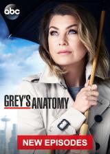 voir la fiche complète du film : Grey\ s Anatomy